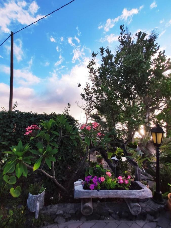 Casa El Limonero Villa Los Llanos De Aridane Dış mekan fotoğraf
